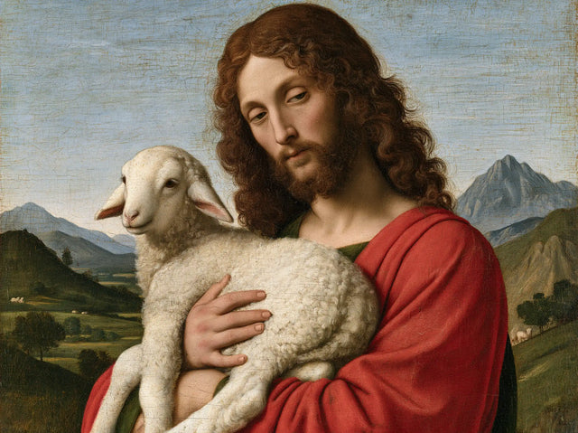 Jesus and the Lamb — Trust Turned Toward the Sky