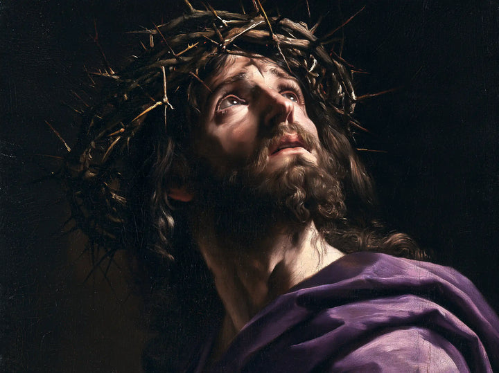 Jesus Crowned with Thorns — The Uplifted Face in Dark Satin