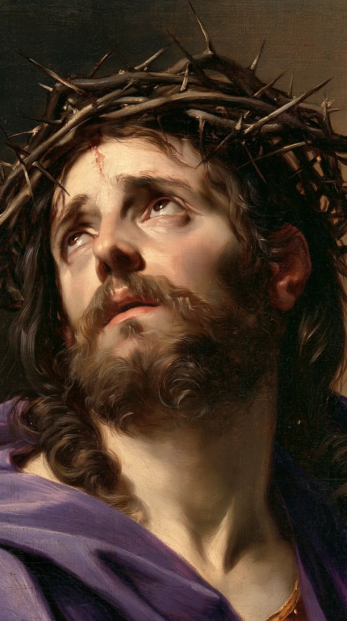Jesus Crowned with Thorns — Light upon the Raised Throat