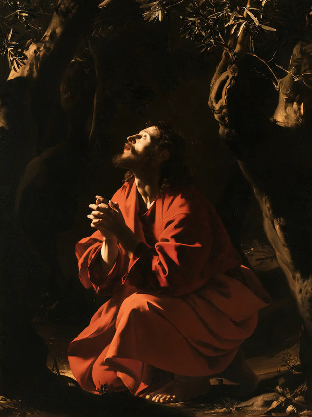 Jesus in Gethsemane — Listening beneath Ancient Bark