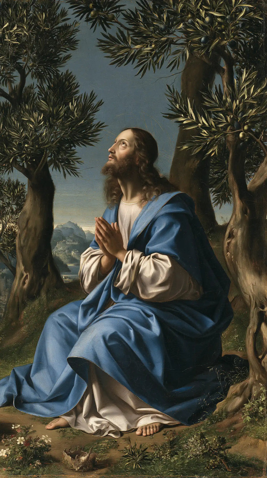 Jesus in Gethsemane - Florentine Renaissance · Portrait n° 3